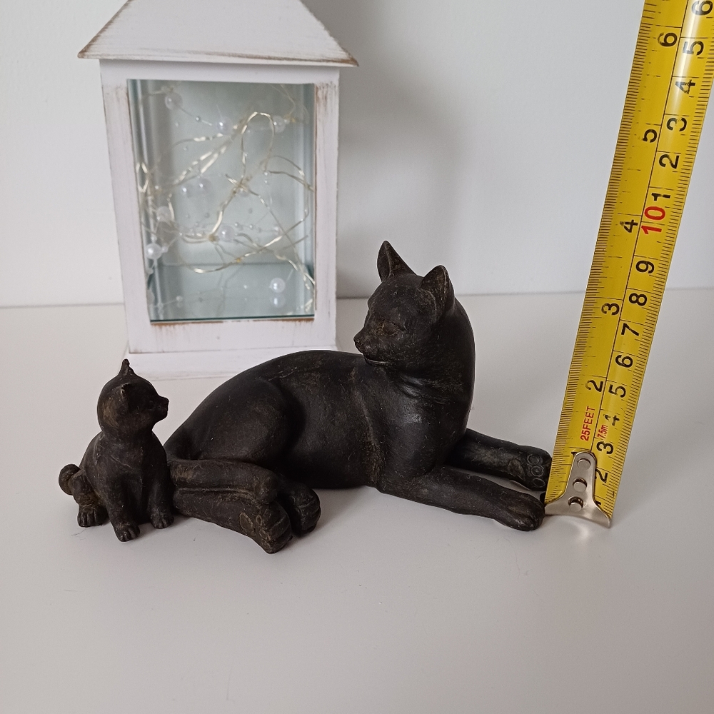 Cute Black Cat Mom And Kitten Baby - Picture 10 of 13